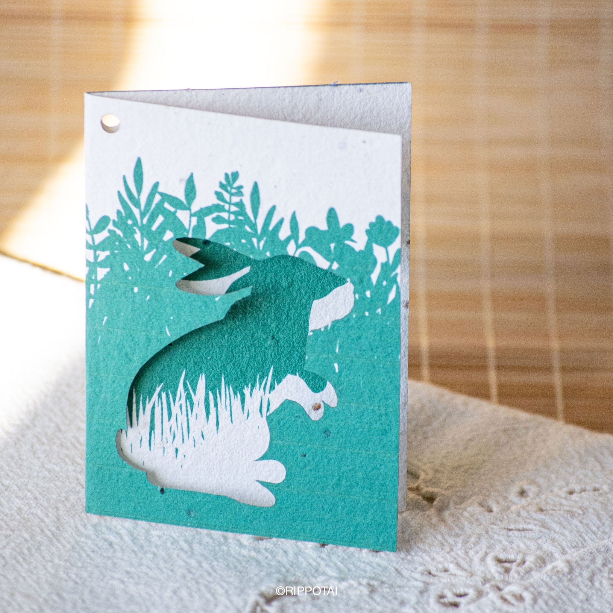 Rippotai Biglietti Auguri Biglietti di Auguri per Pasqua in Carta Piantabile Releaf – Kit da 8