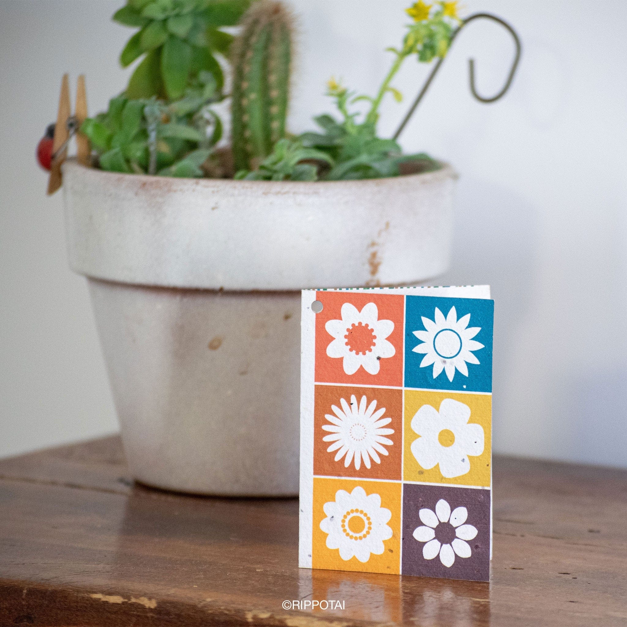 Rippotai Biglietti Auguri Biglietti di Auguri per Pasqua in Carta Piantabile Releaf – Kit da 8