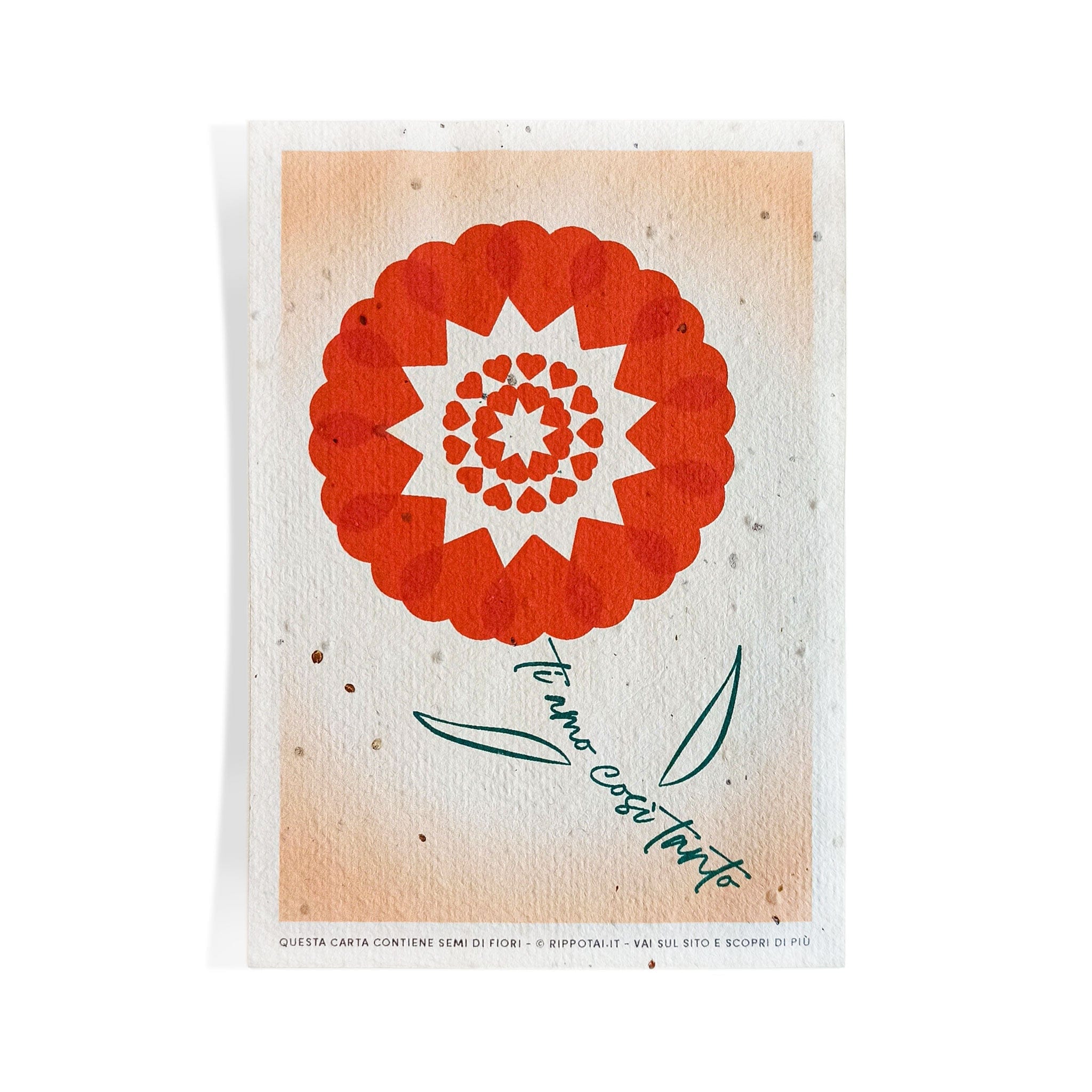 Rippotai Biglietti Auguri Biglietti di Auguri per San Valentino in Carta Piantabile Releaf – Kit da 8