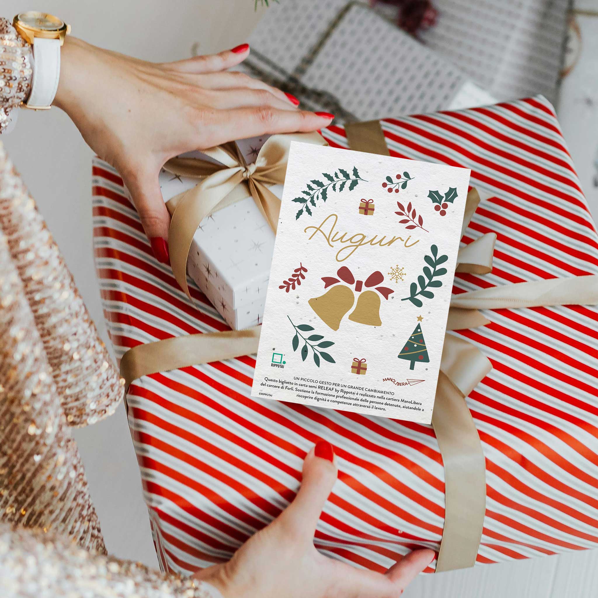 Rippotai Biglietti Auguri Biglietti Natalizi in Carta Semi - Regalo Solidale per un Pianeta Sostenibile