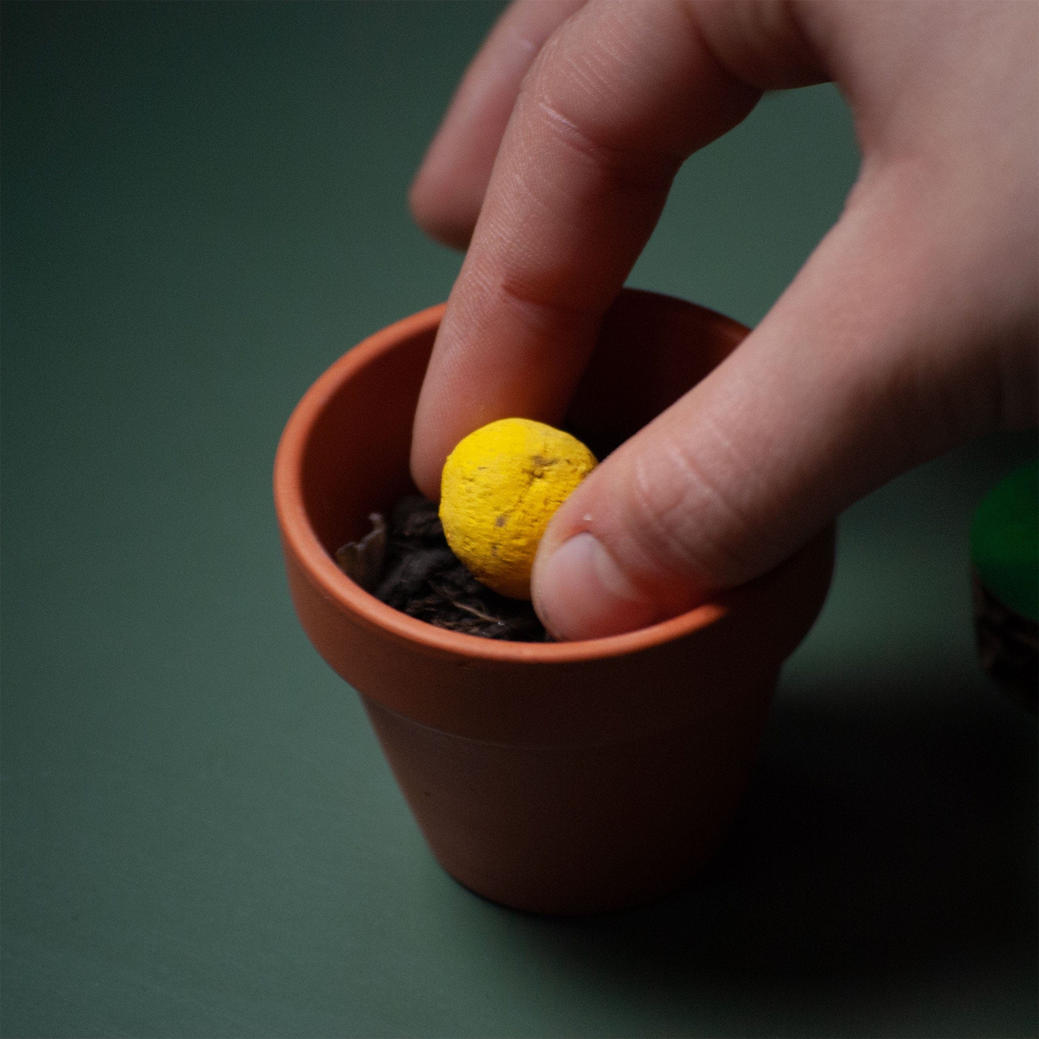 Rippotai Bombe semi Fiore finto ecologico con semi di fiori veri! - 2 pezzi