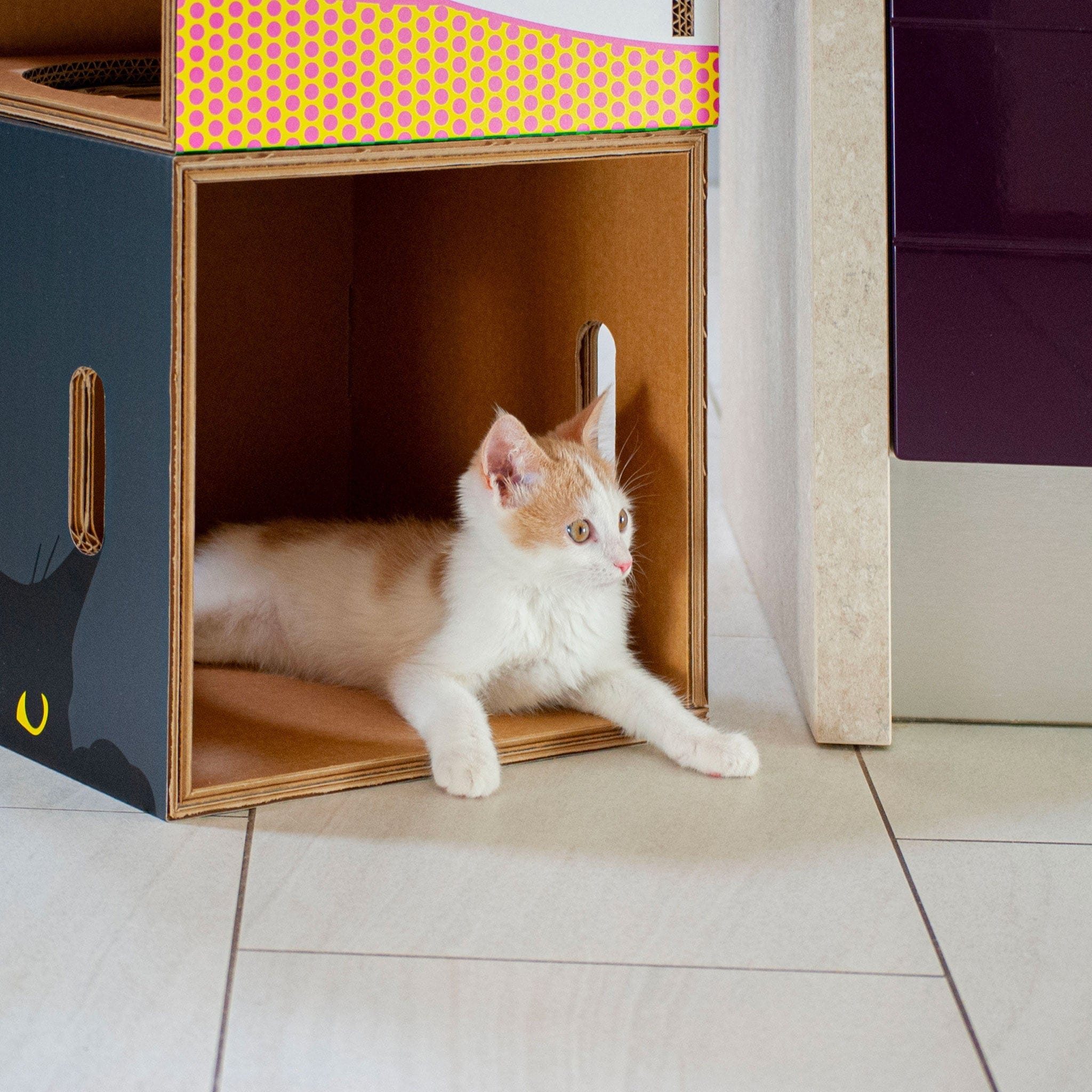 Rippotai Cuccia per gatti eco-sostenibile BlackCatpotai