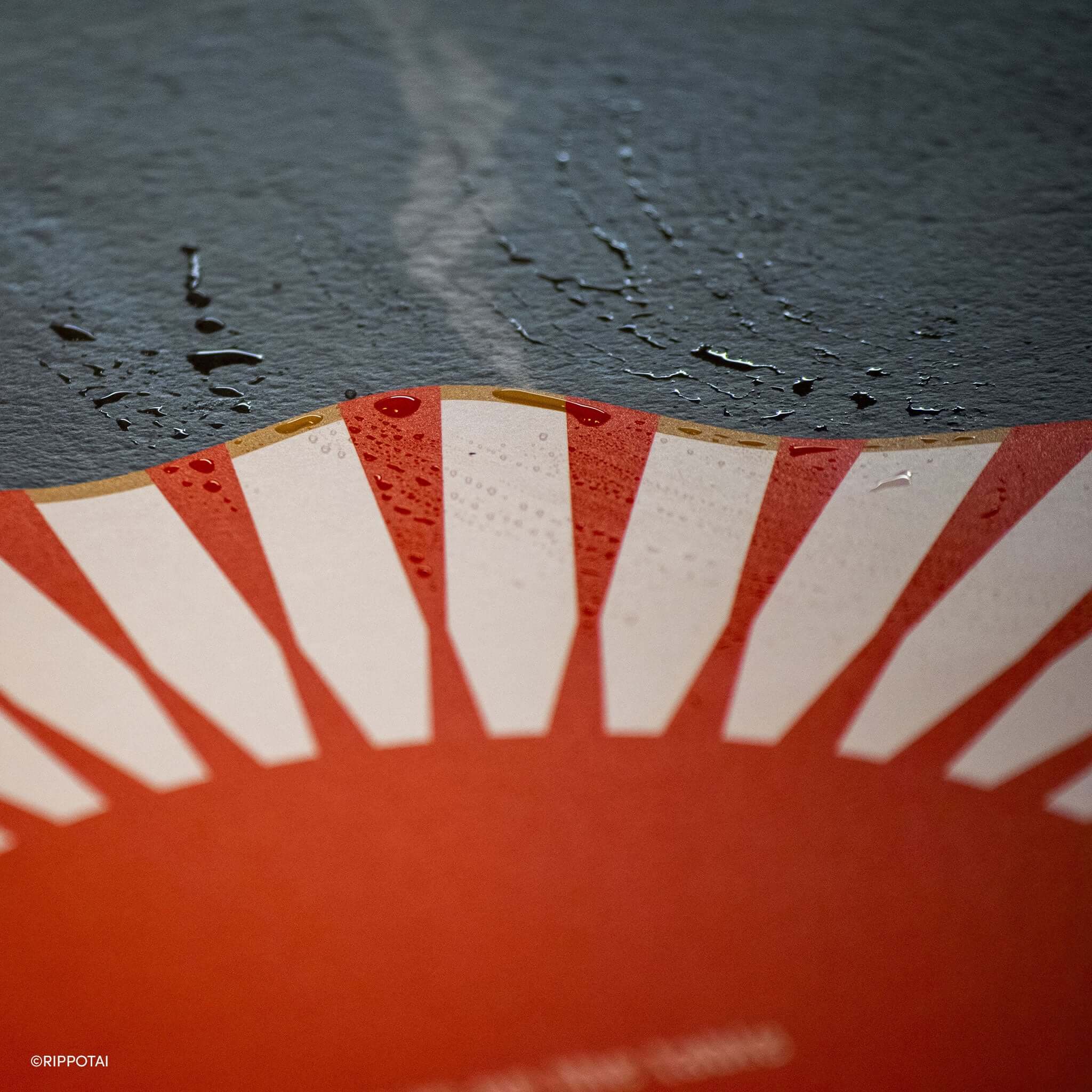 Rippotai Tovagliette Sottopiatti Moderni e Sottobicchieri Coordinati 3pz – Collezione "Love is on the Table"