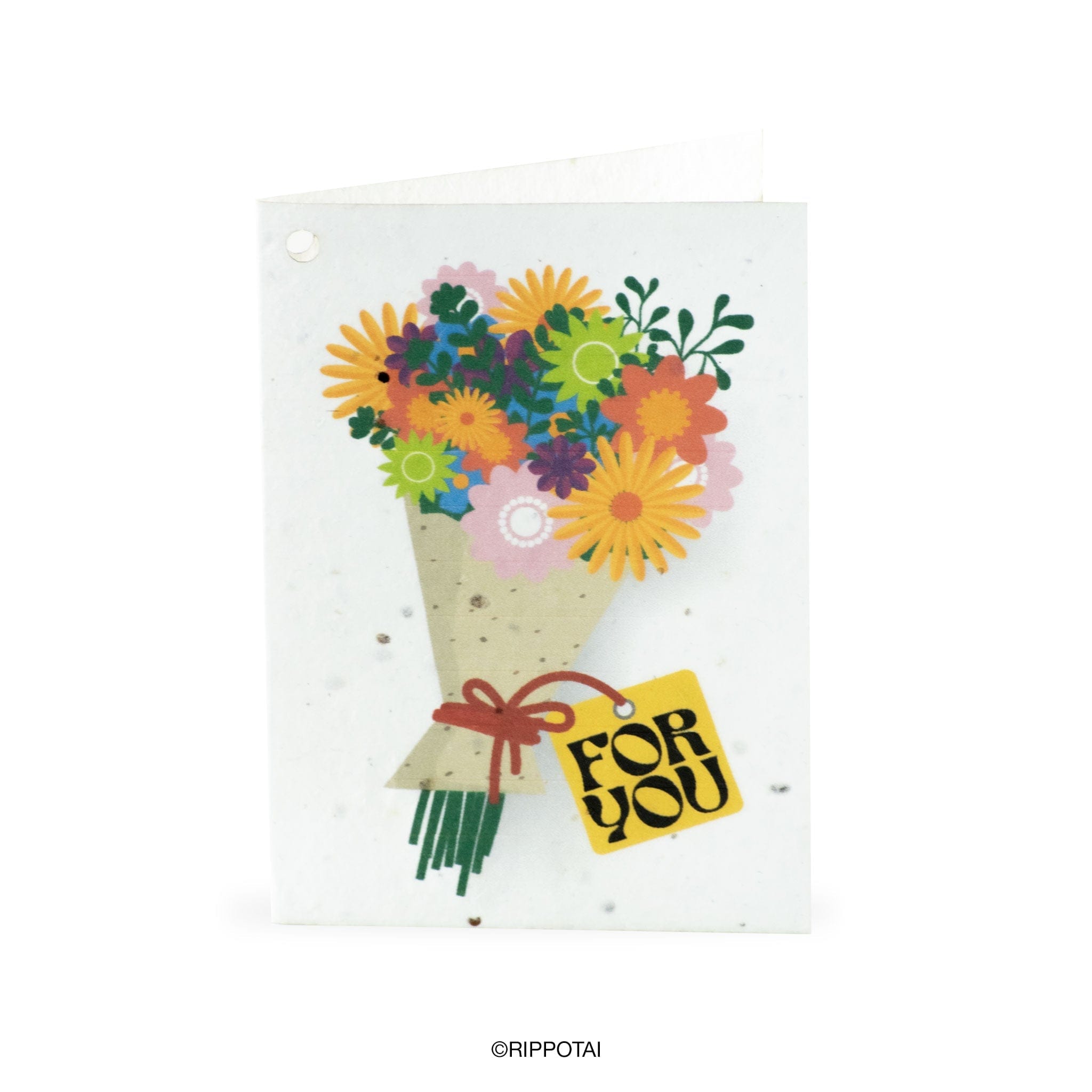 Rippotai Biglietti Auguri Biglietti di Auguri in Carta Piantabile a Tema Primavera – Kit da 8