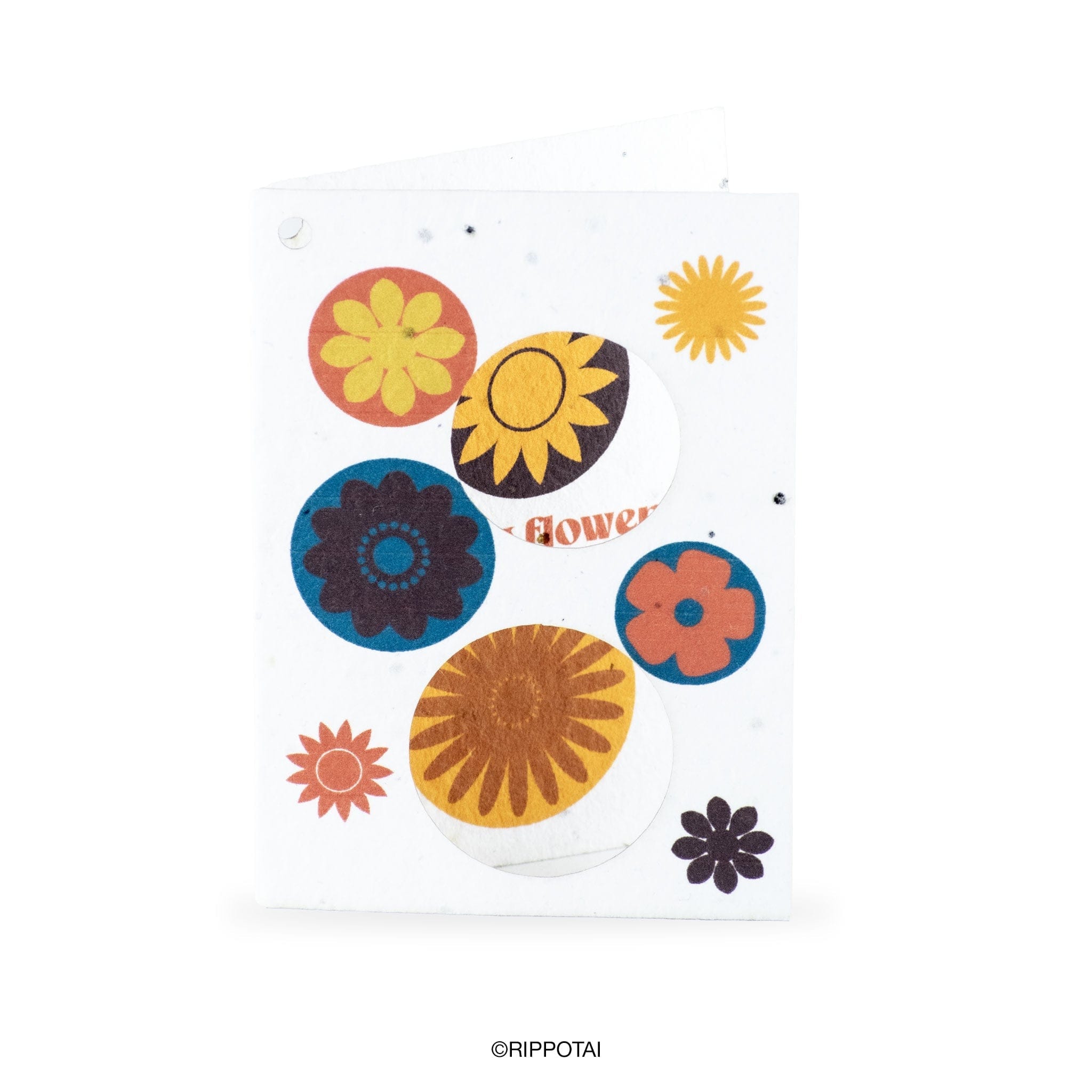 Rippotai Biglietti Auguri Biglietti di Auguri in Carta Piantabile a Tema Primavera – Kit da 8