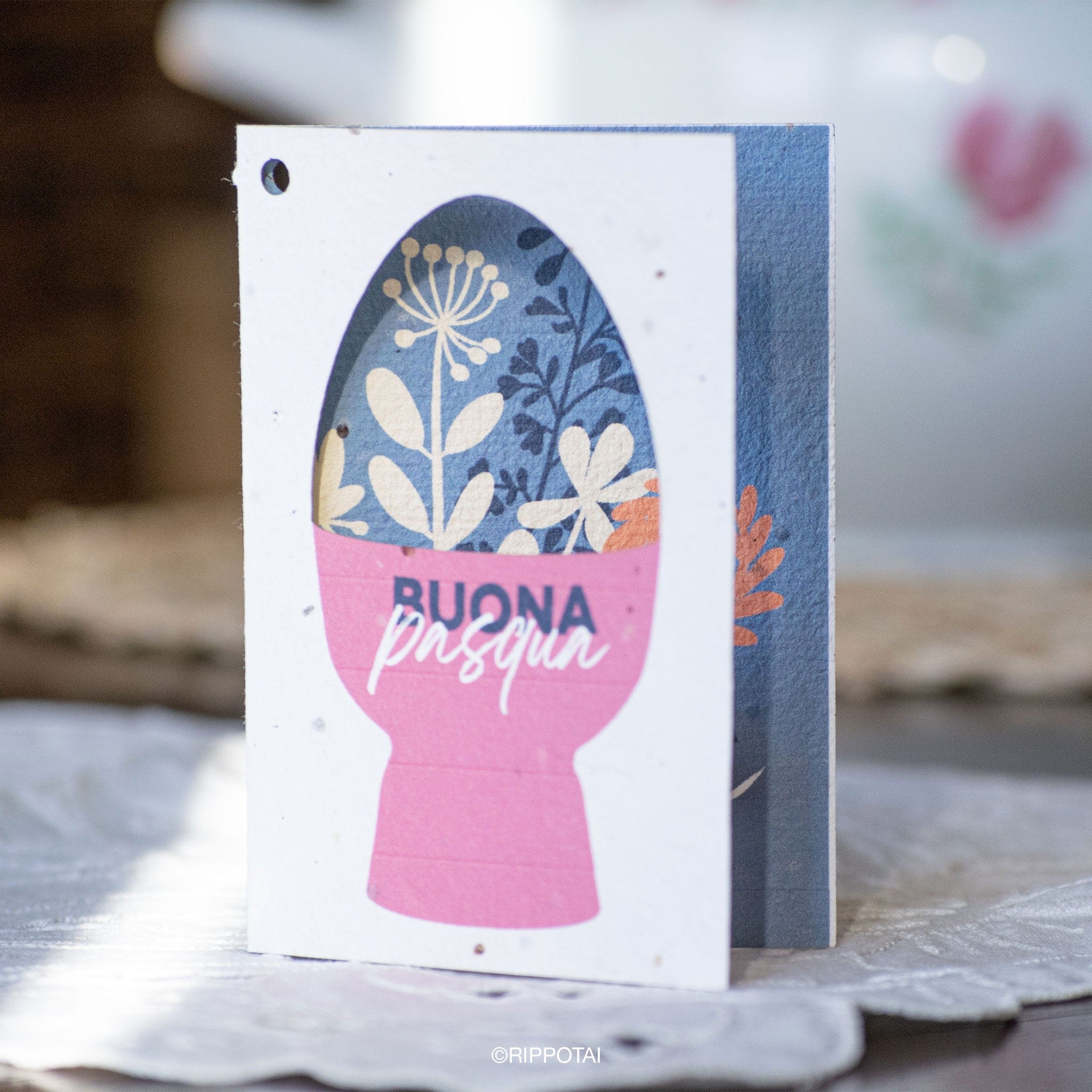 Rippotai Biglietti Auguri Biglietti di Auguri per Pasqua in Carta Piantabile Releaf – Kit da 8