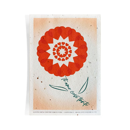 Rippotai Biglietti Auguri Biglietti di Auguri per San Valentino in Carta Piantabile Releaf – Kit da 8