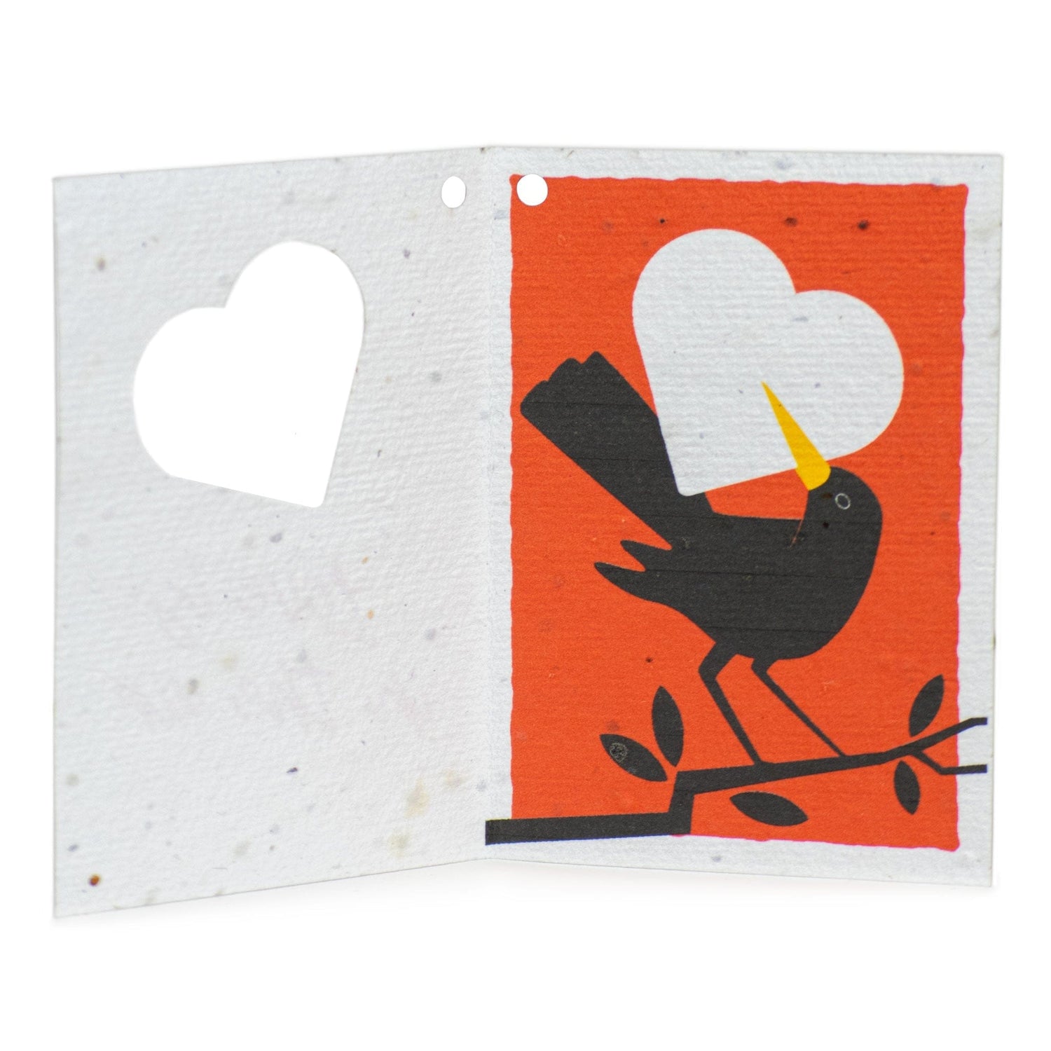 Rippotai Biglietti Auguri Biglietti di Auguri per San Valentino in Carta Piantabile Releaf – Kit da 8