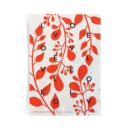 Rippotai Biglietti Auguri Biglietti di Auguri per San Valentino in Carta Piantabile Releaf – Kit da 8