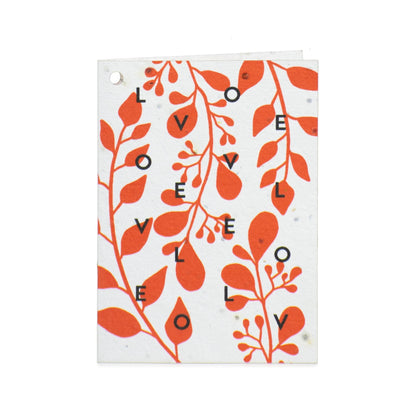 Rippotai Biglietti Auguri Biglietti di Auguri per San Valentino in Carta Piantabile Releaf – Kit da 8