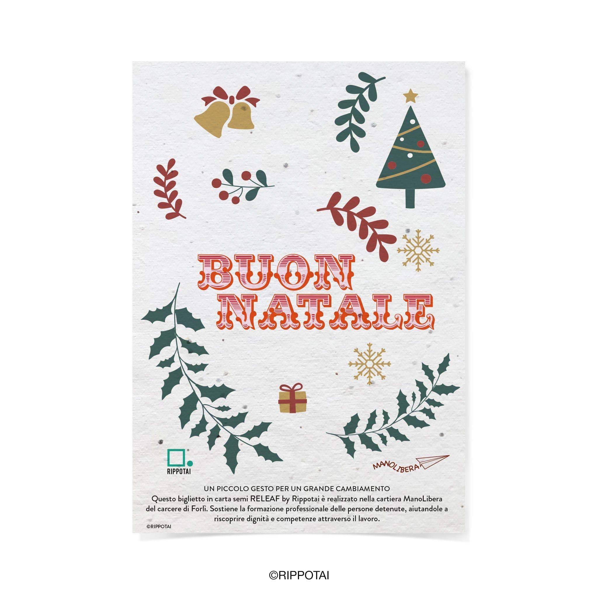 Rippotai Biglietti Auguri Biglietti Natalizi in Carta Semi - Regalo Solidale per un Pianeta Sostenibile