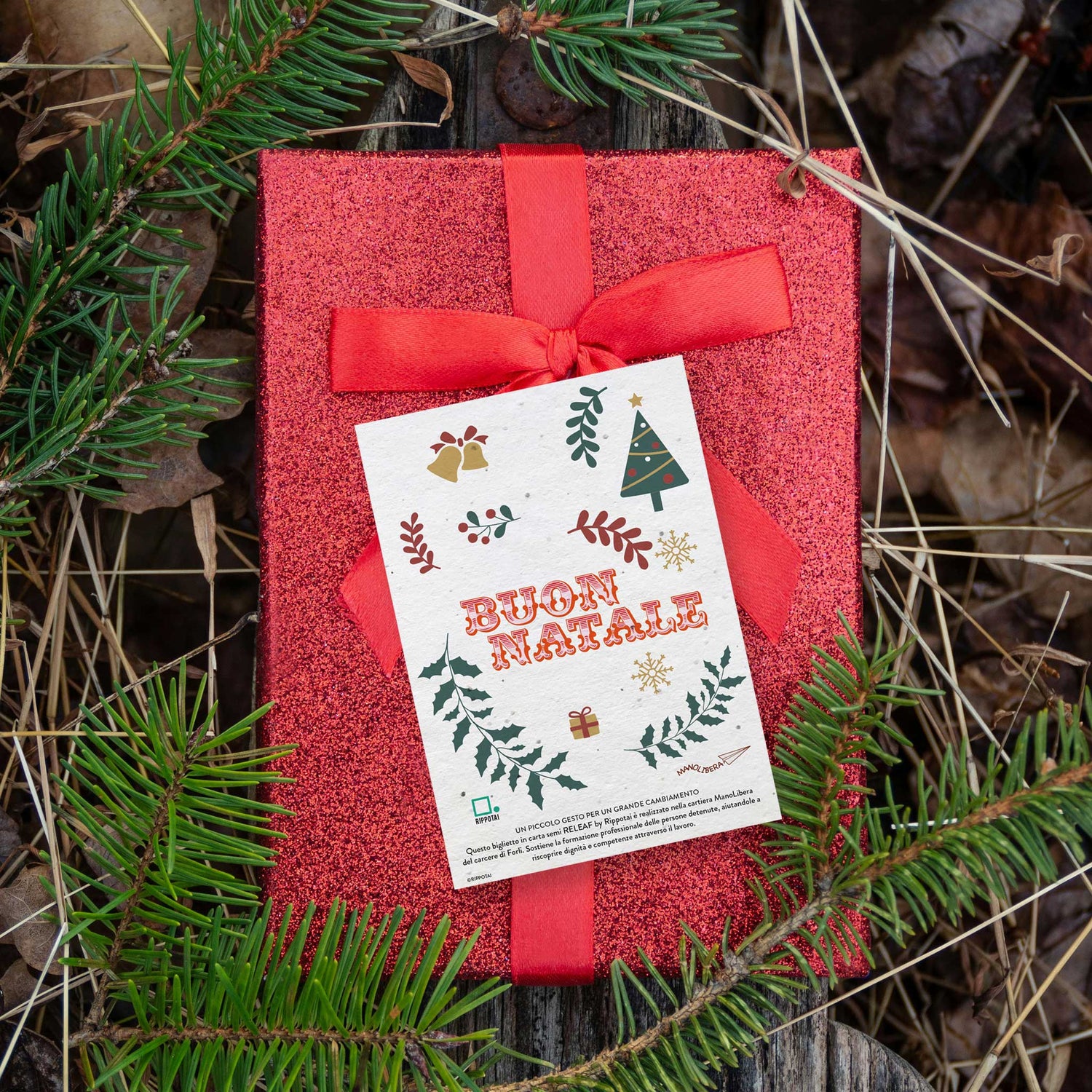 Rippotai Biglietti Auguri Biglietti Natalizi in Carta Semi - Regalo Solidale per un Pianeta Sostenibile