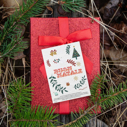 Rippotai Biglietti Auguri Biglietti Natalizi in Carta Semi - Regalo Solidale per un Pianeta Sostenibile