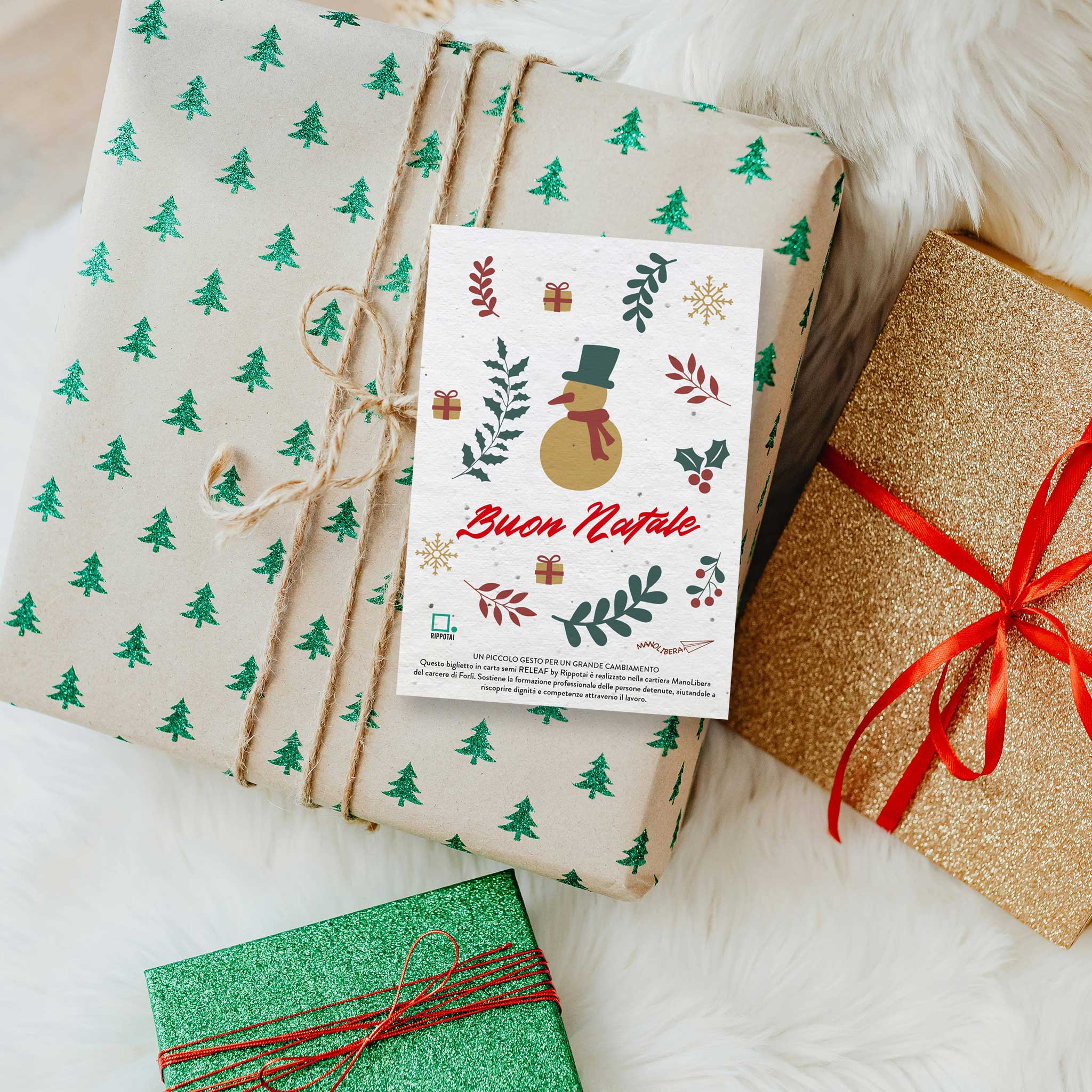 Rippotai Biglietti Auguri Biglietti Natalizi in Carta Semi - Regalo Solidale per un Pianeta Sostenibile