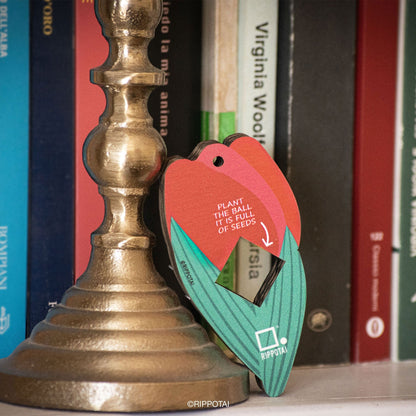 Rippotai Bombe semi Bombe Semi – Regalo Ecosostenibile per la Mamma