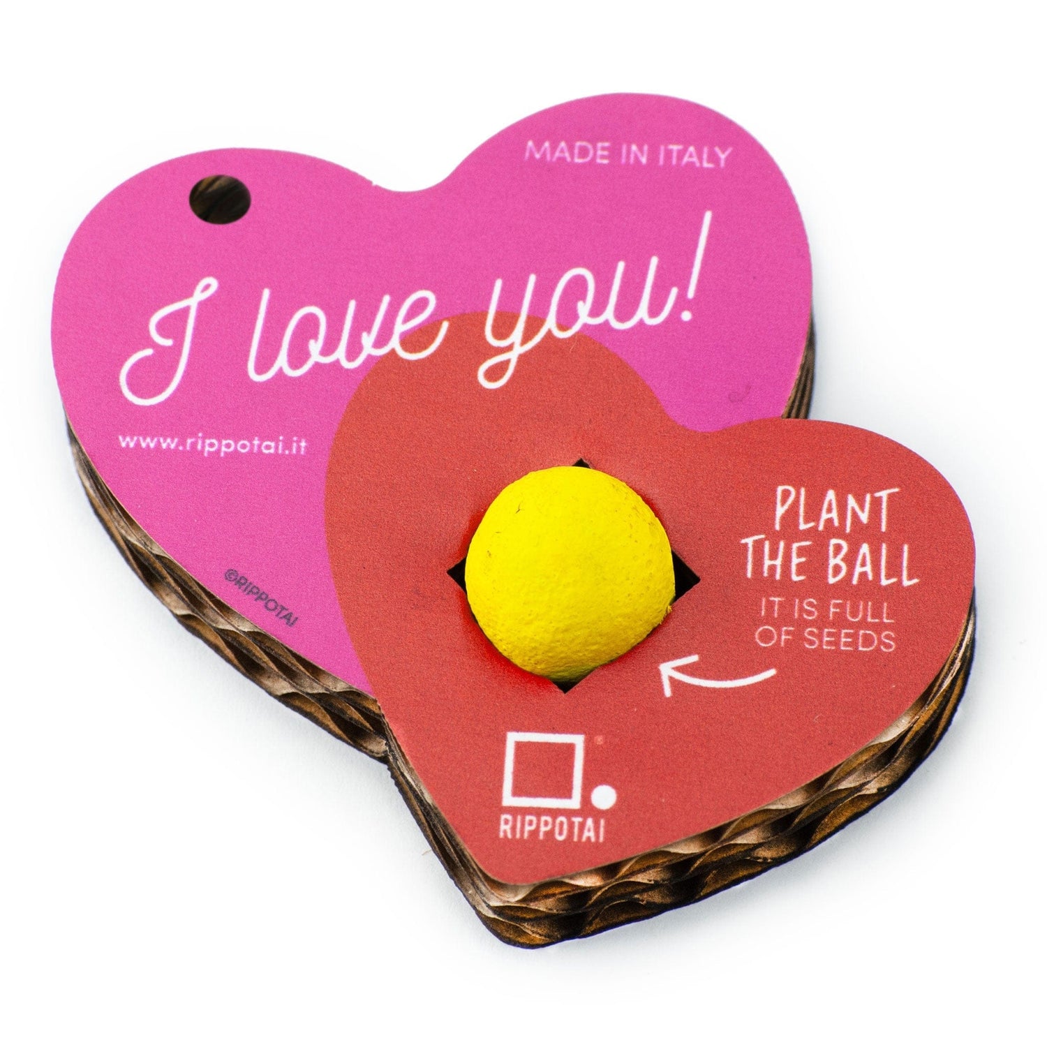 Rippotai Bombe semi Cuore doppio Cuori San Valentino – Portachiavi con Semi che Fioriscono -kit da 2