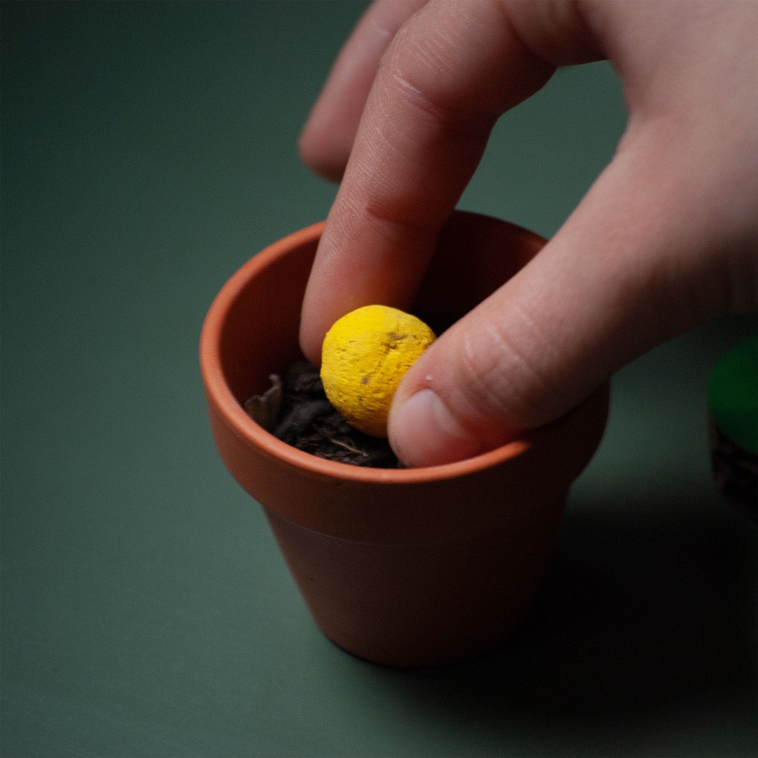 Rippotai Bombe semi Fiore finto ecologico con semi di fiori veri! - 2 pezzi