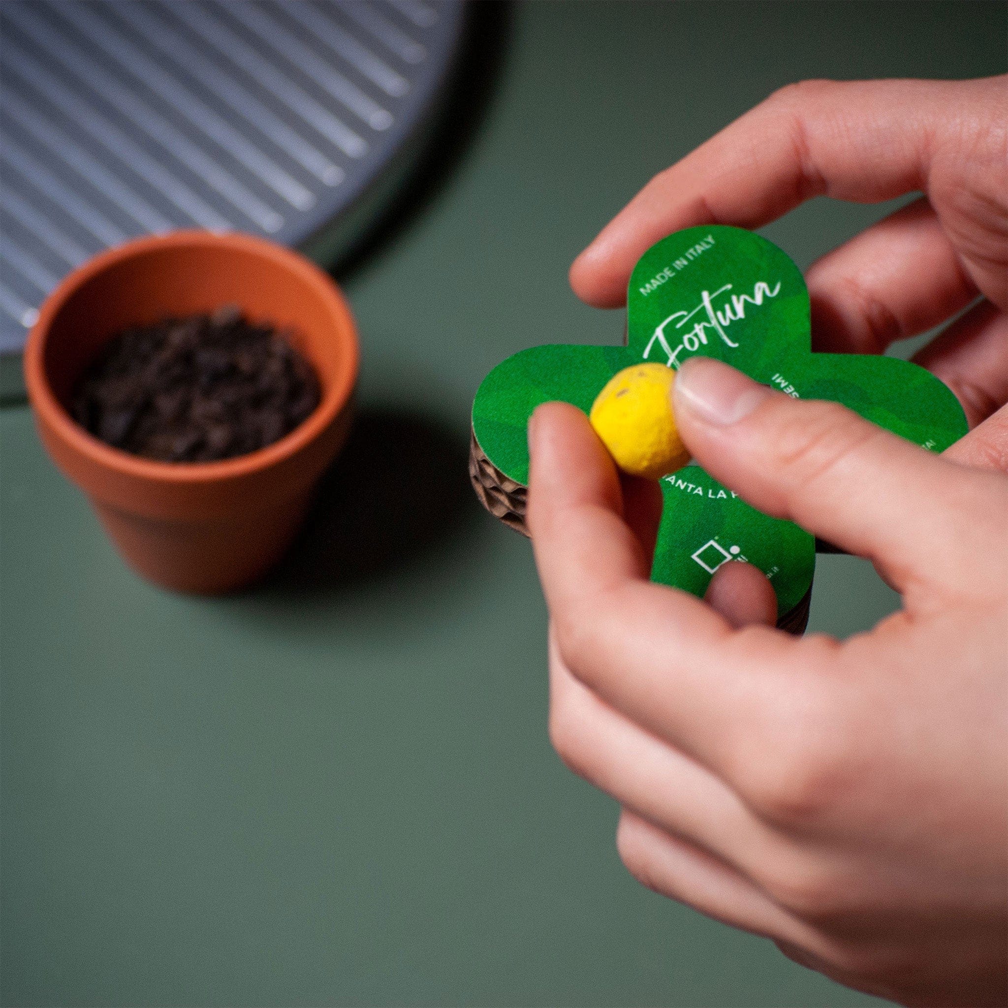 Rippotai Bombe semi Fiore finto ecologico con semi di fiori veri! - 2 pezzi