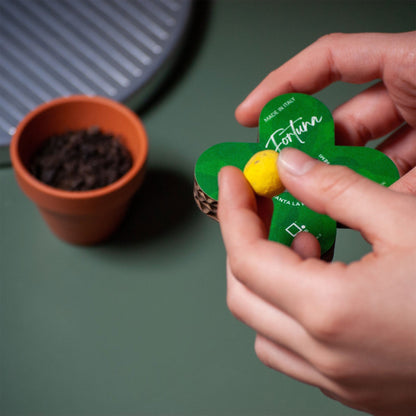 Rippotai Bombe semi Fiore finto ecologico con semi di fiori veri! - 2 pezzi