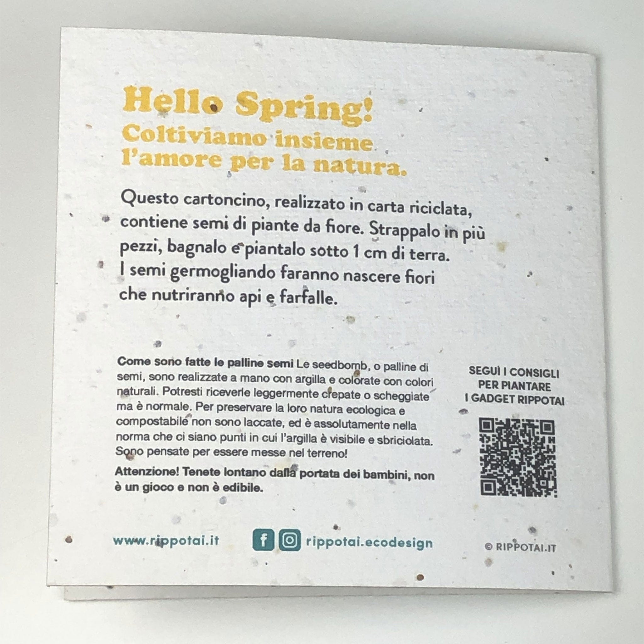 Rippotai Bombe semi Idea Regalo Festa della Donna: Un Dono Ecologico e Significativo - Set da 3