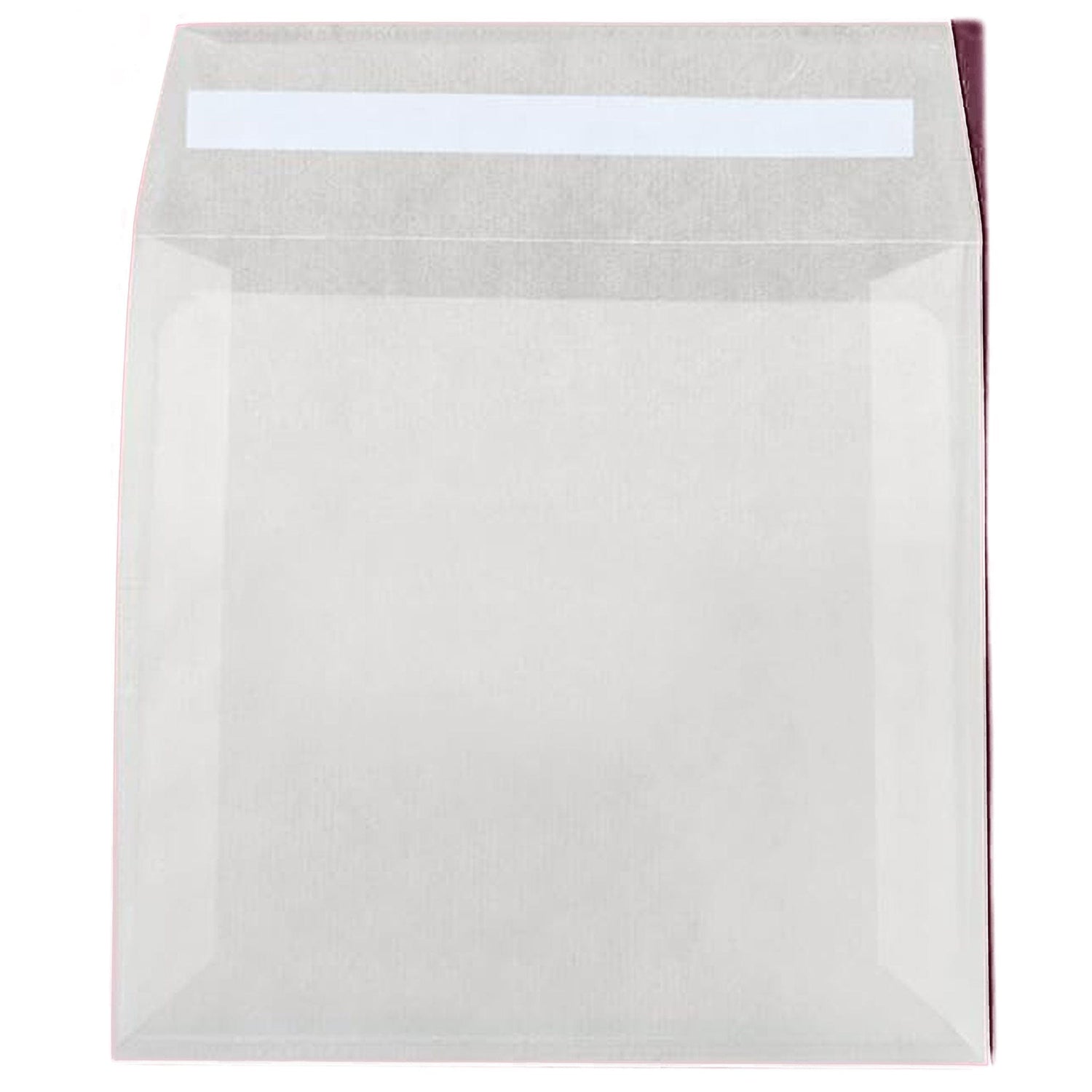 Rippotai Bombe semi Idea Regalo Festa della Donna: Un Dono Ecologico e Significativo - Set da 3