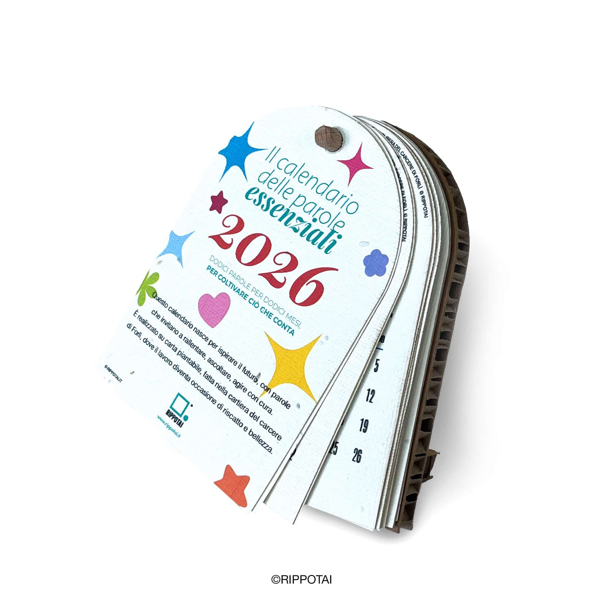 Rippotai Calendari Calendario da tavolo in carta piantabile – Il calendario delle parole essenziali Rippotai
