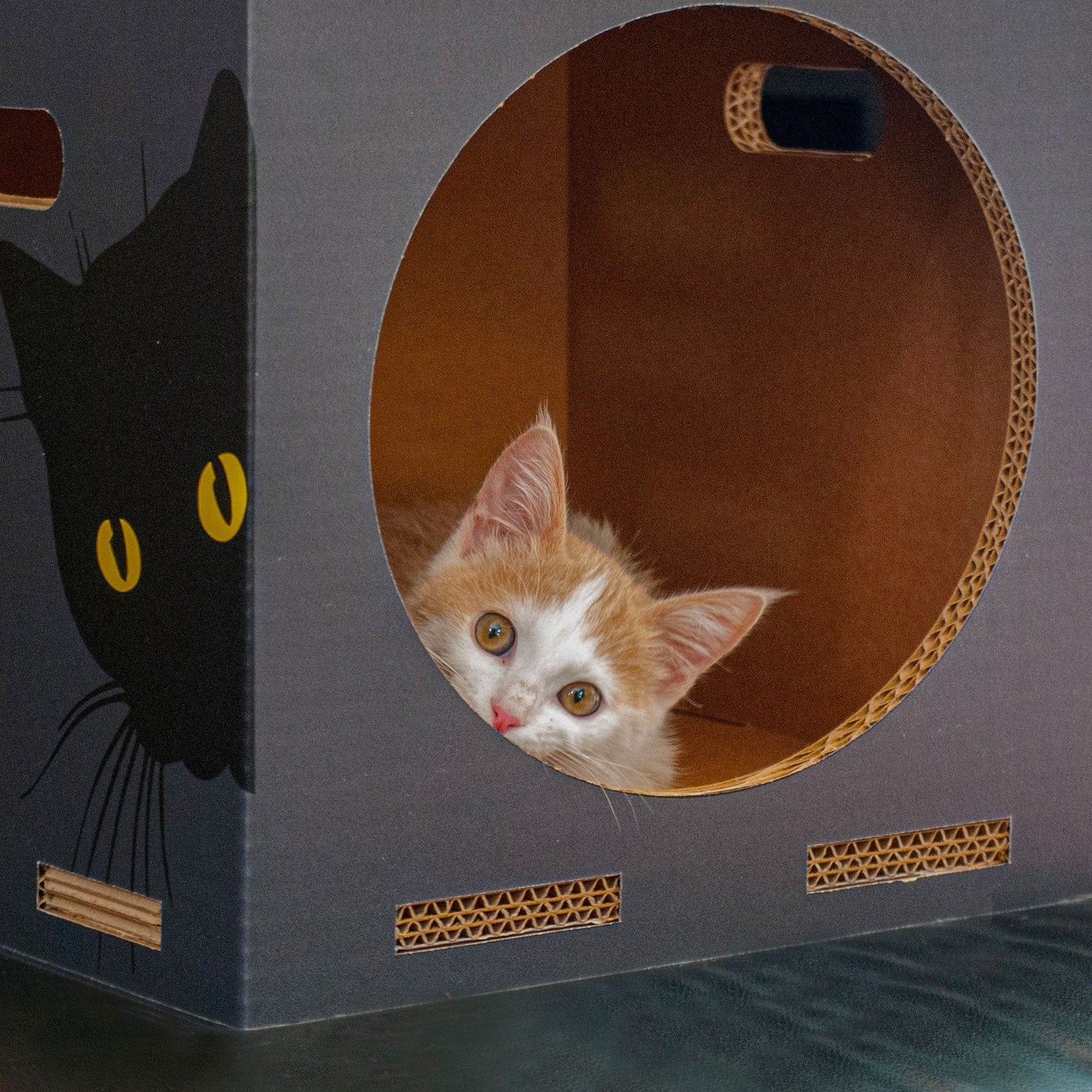 Rippotai Cuccia per gatti eco-sostenibile BlackCatpotai