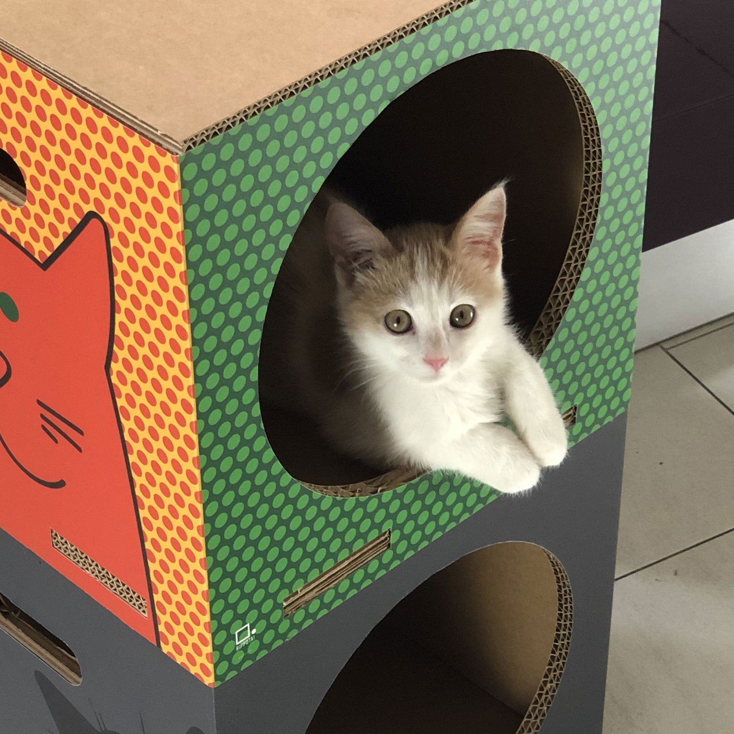 Rippotai Cuccia per gatti eco-sostenibile Catpotai