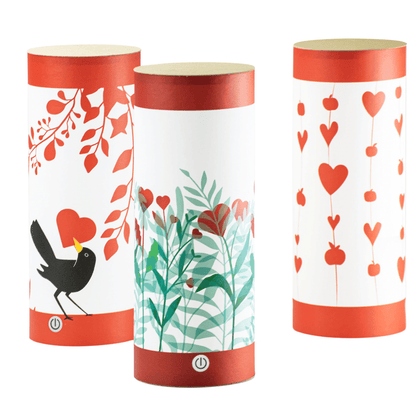 Rippotai Illuminazione Lampada LED ricaricabile ecologica – Idee regalo San Valentino