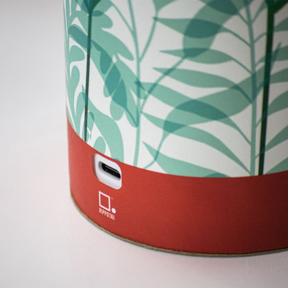 Rippotai Illuminazione Lampada LED ricaricabile ecologica – Idee regalo San Valentino