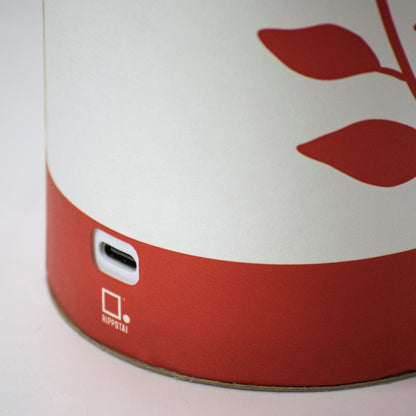 Rippotai Illuminazione Lampada LED ricaricabile ecologica – Idee regalo San Valentino